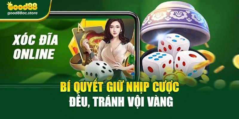 Bí quyết giữ nhịp cược đều, tránh vội vàng