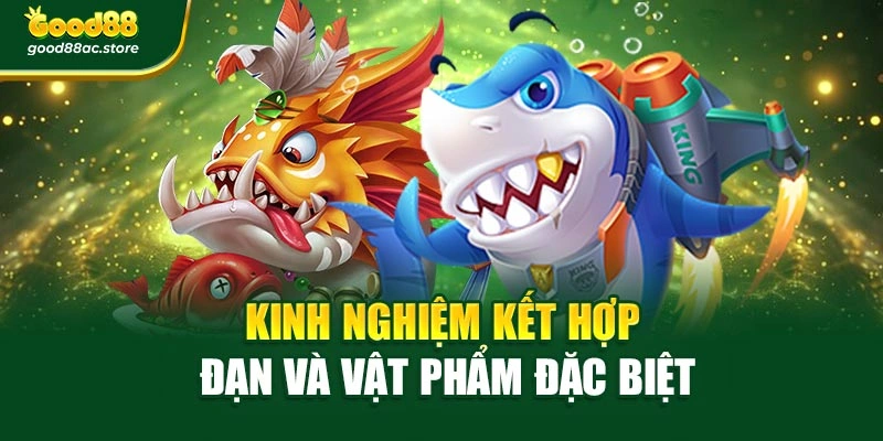 Kinh nghiệm kết hợp đạn và vật phẩm đặc biệt