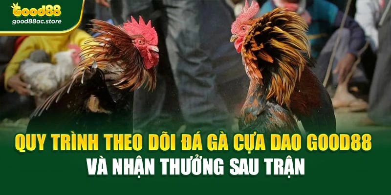 Quy trình theo dõi Đá gà cựa dao Good88 và nhận thưởng sau trận