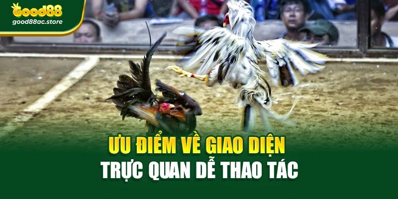 Ưu điểm về giao diện trực quan dễ thao tác